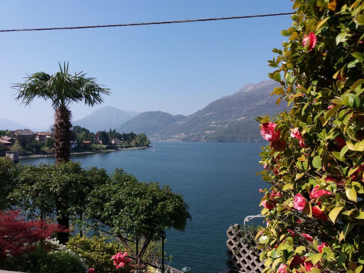 Villa Plinio Lago Di Como Dervio Eksteriør bilde
