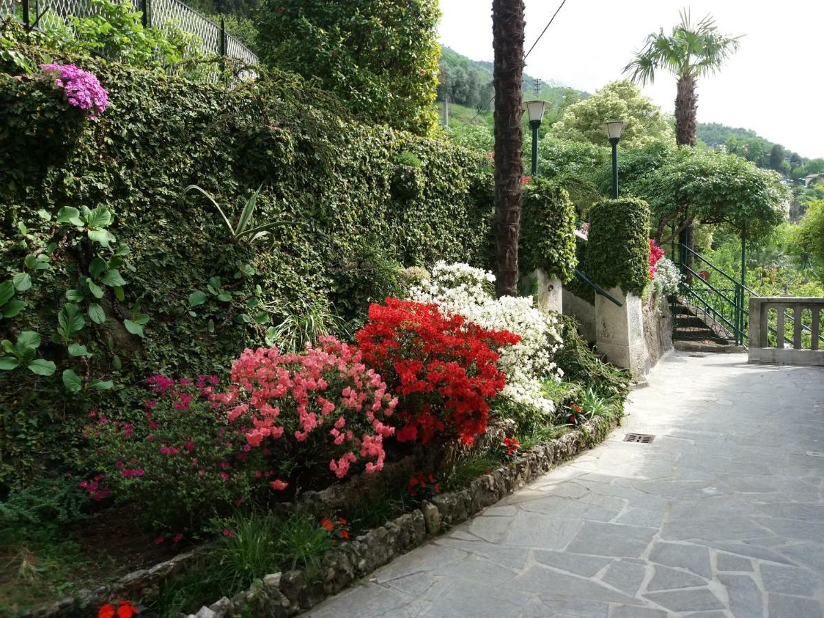 Villa Plinio Lago Di Como Dervio Eksteriør bilde